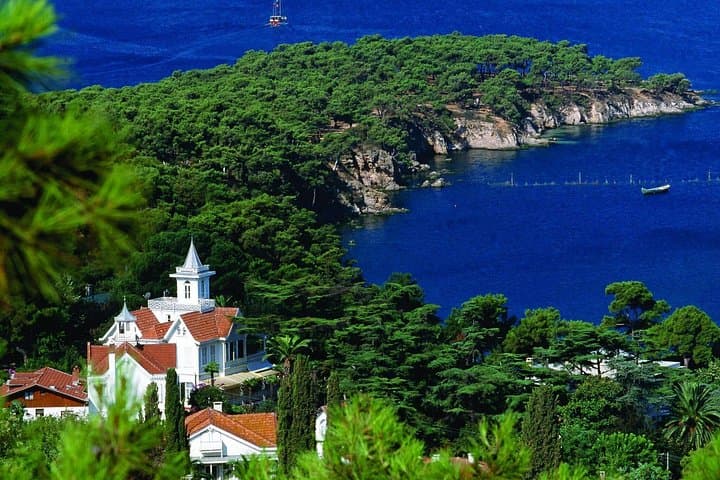 Full-Day Princes' Islands Boat Tour from Istanbul — Büyükada & Kınalıada with Lunch photo 1