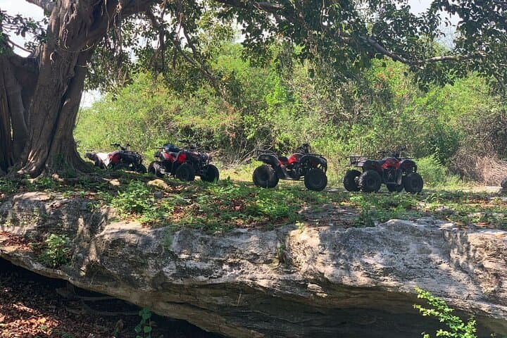 Cozumel ATV Jungle Adventure to Hidden Mayan Ruins and Caves photo 4