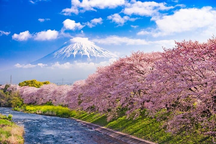 Private Mt. Fuji Day Charter: Kawaguchi or Hakone Custom Route from Tokyo photo 5