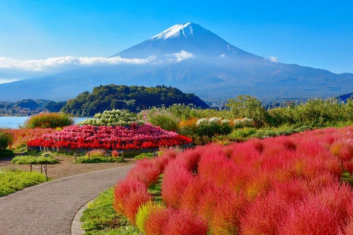 Private Mt. Fuji Day Charter: Kawaguchi or Hakone Custom Route from Tokyo photo 2