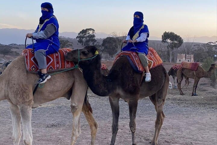 Atlas Mountains Day Tour: Four Valleys, Waterfalls & Camel Ride from Marrakech