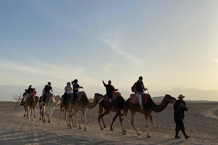 Atlas Mountains Day Tour: Four Valleys, Waterfalls & Camel Ride from Marrakech photo 3
