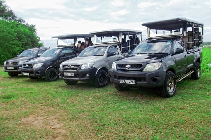 Yala Safari from Mirissa & Tangalle: Full-Day Wildlife Transfer to Ella photo 2