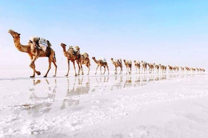 3-Day Danakil Depression & Erta Ale Volcano Expedition photo 3