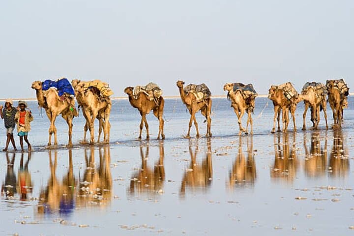 3-Day Danakil Depression & Erta Ale Volcano Expedition photo 2