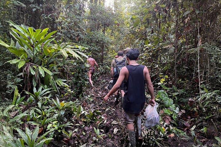 Siberut Jungle Trekking: 4-Day Mentawai Cultural Immersion photo 3