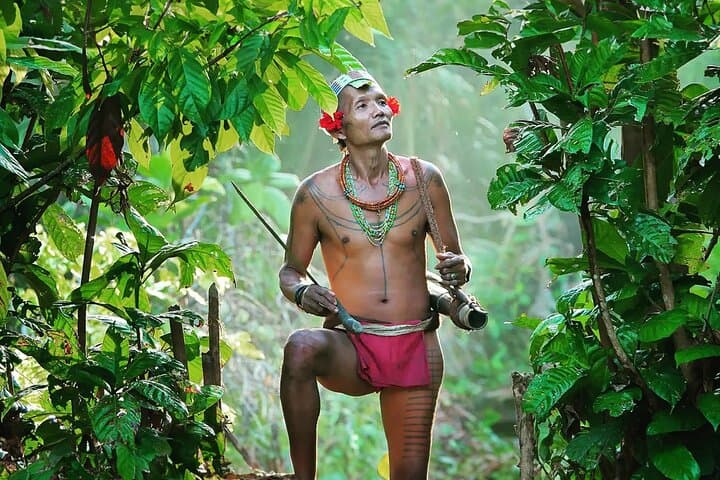 Siberut Mentawai Jungle Trek: 3-Day Cultural Immersion from Padang
