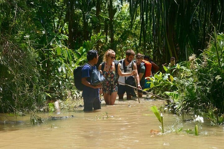Siberut Jungle Trekking: 4-Day Mentawai Cultural Immersion photo 4
