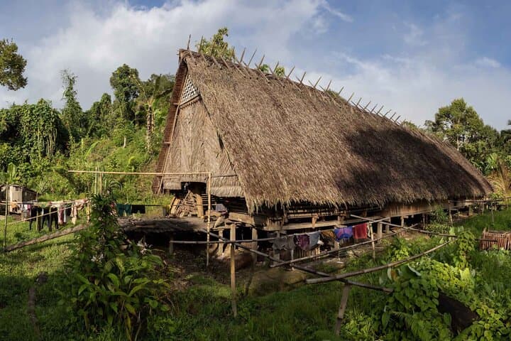 Siberut Mentawai Jungle Trek: 3-Day Cultural Immersion from Padang photo 6