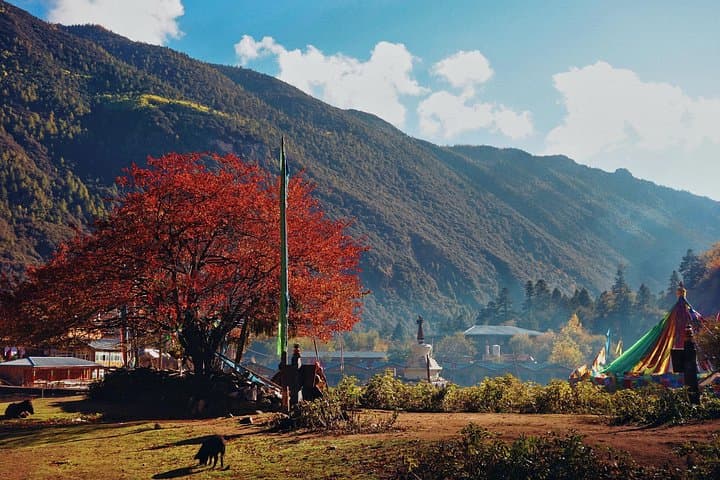 5-Day Yubeng Trek: Ice Lake, Sacred Waterfall & Meili Snow Mountain photo 4