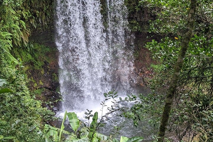 Diego Suarez (Antsiranana) Excursions: Amber Mountain, Red Tsingy & Three Bays Day Tours photo 2