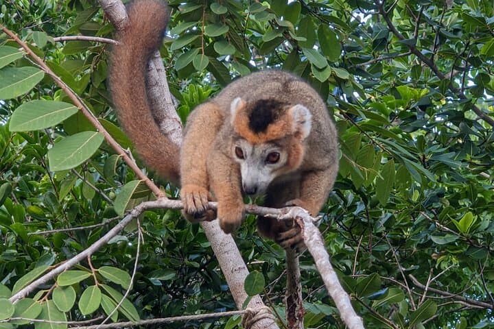Diego Suarez (Antsiranana) Excursions: Amber Mountain, Red Tsingy & Three Bays Day Tours photo 6