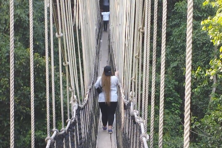 10-Day Ghana Adventure: Accra, Cape Coast, Kakum & Volta Highlights photo 2