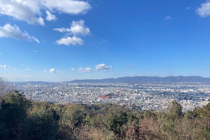Explore Kyoto's Secret Zen Gardens and Iconic Torii Gates: Guided Walking Tour photo 5