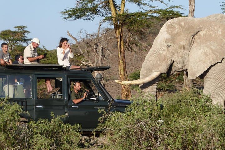3-Day Amboseli Safari: Elephants, Kilimanjaro Views & AA Lodge photo 5