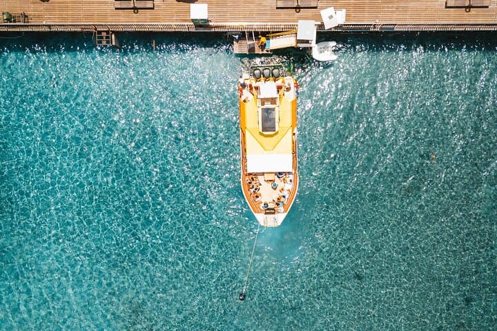 Protaras Blue Lagoon & Turtle Cruise — Morning Family Snorkel from Protaras Pier photo 4