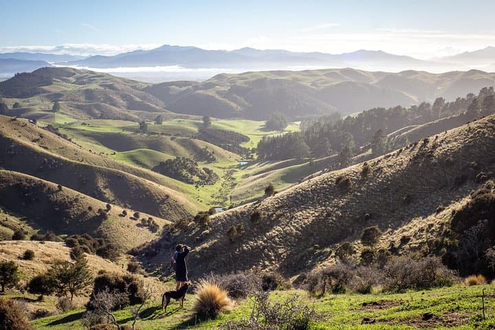 Bespoke High-Country Hiking Near Blenheim — Private Guided Day Hike in Marlborough