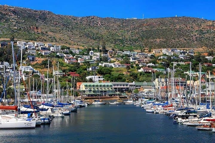 Coastal Drive to Cape Point: Full-Day Cape Peninsula Tour from Cape Town photo 4