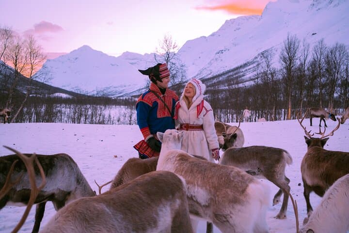 Sami Reindeer Visit Near Tromsø: Small-Group Reindeer Feeding & Lasso Experience photo 4