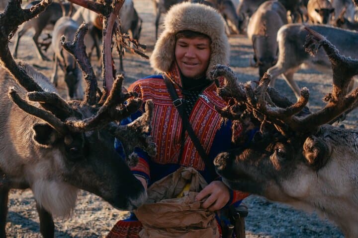 Sami Reindeer Visit Near Tromsø: Small-Group Reindeer Feeding & Lasso Experience photo 2