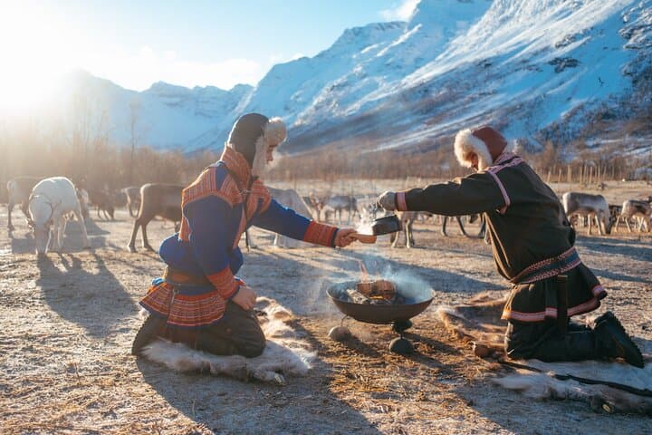Sami Reindeer Visit Near Tromsø: Small-Group Reindeer Feeding & Lasso Experience photo 3