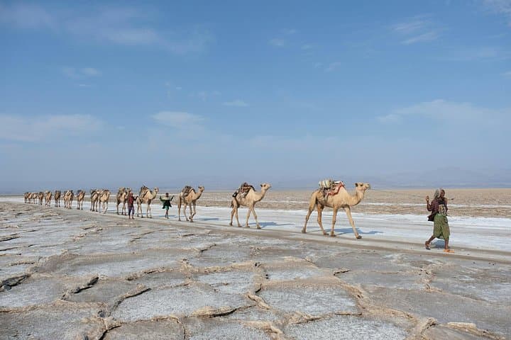 Dallol, Ertale Volcano & Danakil Depression: 3-Day Lava, Salt Flats and Afar Culture photo 2