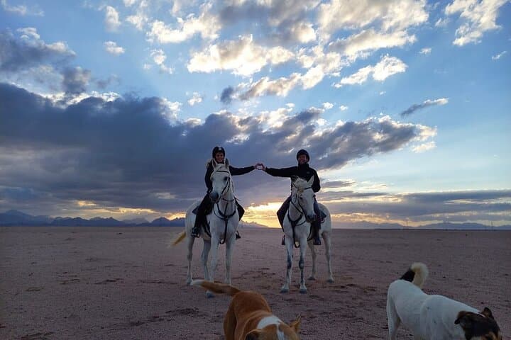 Horseback Riding in Hurghada: 2-Hour Desert and Red Sea Beach Ride photo 3