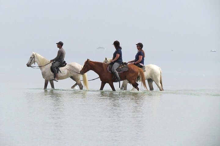 Horseback Riding in Hurghada: 2-Hour Desert and Red Sea Beach Ride photo 4
