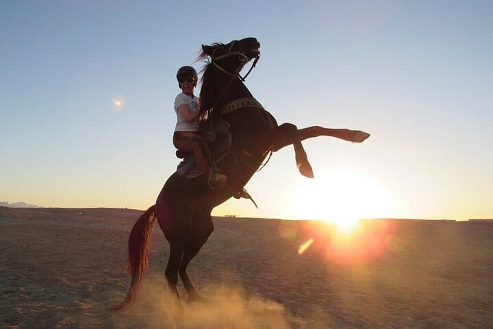 Horseback Riding in Hurghada: 2-Hour Desert and Red Sea Beach Ride photo 5
