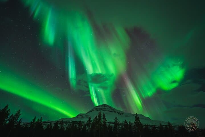 Tromsø Northern Lights Chase: Small-Group Aurora Photography Tour