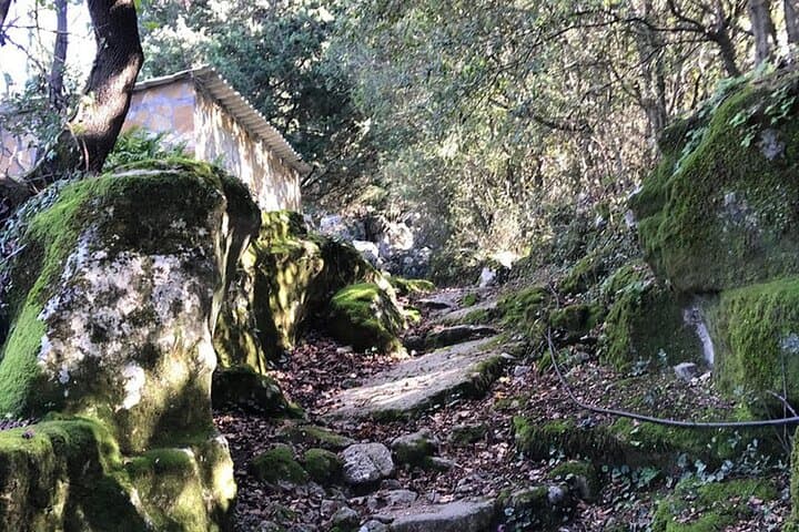 Hike the Path of Springs: Sivros & Vournikas Guided Hike in Lefkada photo 1