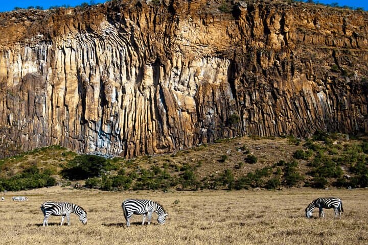 Hells Gate National Park and Lake Naivasha: Full-Day Safari & Boat Ride from Nairobi photo 3