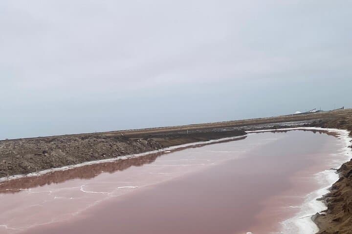 Sandwich Harbour Full-Day 4x4 Tour from Walvis Bay photo 5