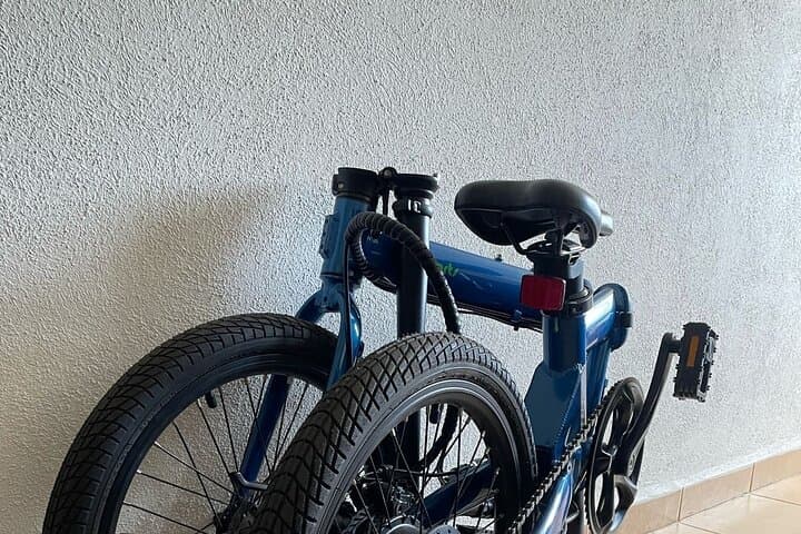 Electric Bicycle Tour in Mexico City — Chapultepec, Los Pinos & Museums photo 3