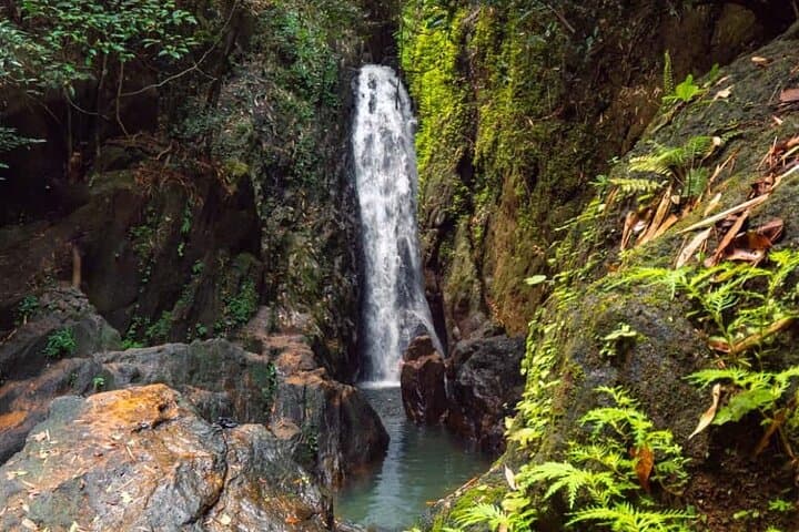 Halal-Friendly Phuket Day Tour: Bang Pae Waterfall, Plane-Watching at Mai Khao & Mosque Visit photo 4