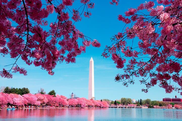 Explore Washington DC in a Day: Iconic Monuments and Potomac River Cruise