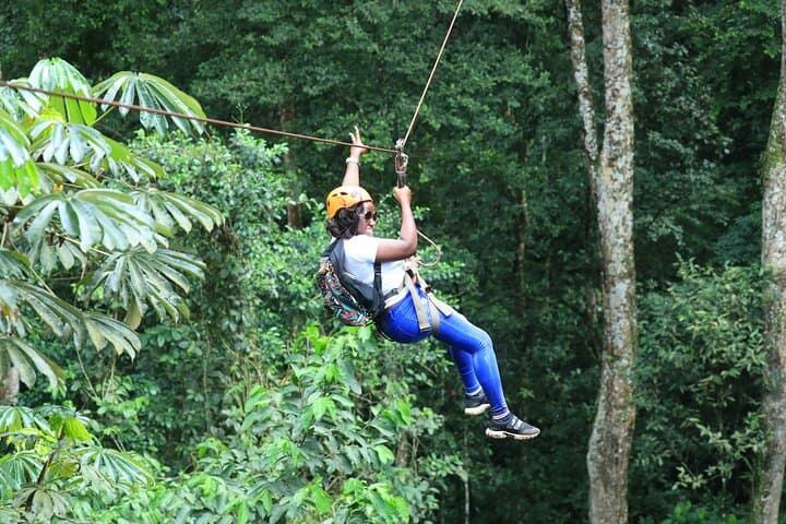 Cape Town Zipline & Constantia Wine Tasting Day Tour photo 2
