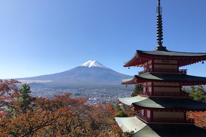 Mount Fuji Panoramic Views, Tea Rituals & Gotemba Outlet Day Trip from Shinjuku