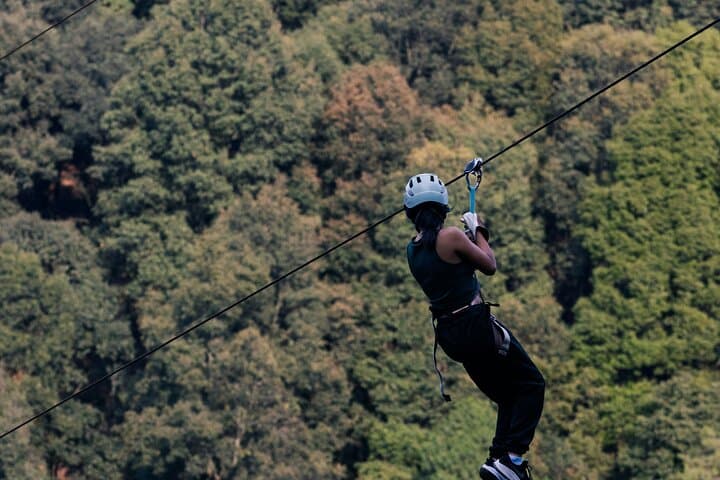 Cape Town Zipline & Constantia Wine Tasting Day Tour photo 4