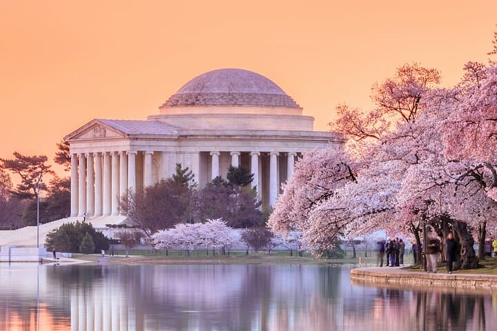 Washington DC National Mall Tour: Washington Monument, Museums & Iconic Memorials photo 6