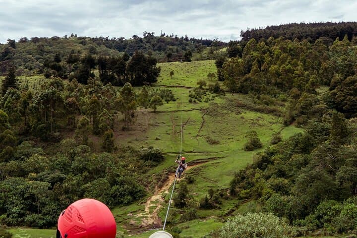 Cape Town Zipline & Constantia Wine Tasting Day Tour photo 5