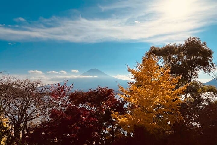 Mount Fuji Panoramic Views, Tea Rituals & Gotemba Outlet Day Trip from Shinjuku photo 4