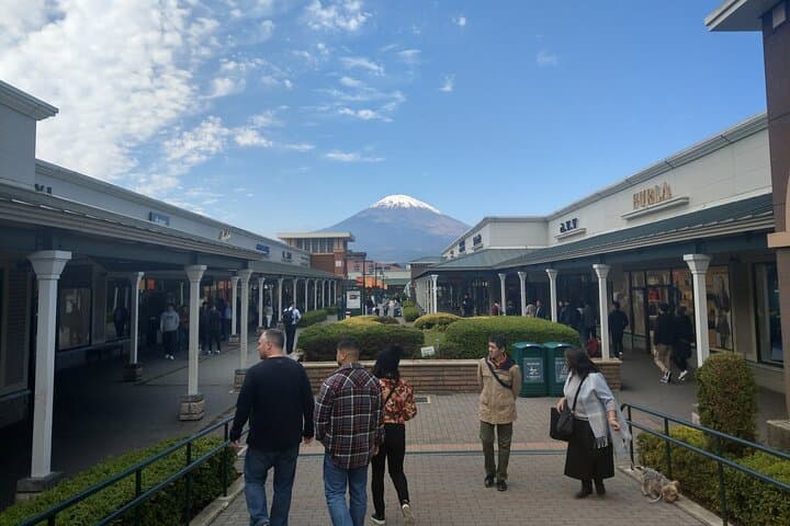 Mount Fuji Panoramic Views, Tea Rituals & Gotemba Outlet Day Trip from Shinjuku photo 5