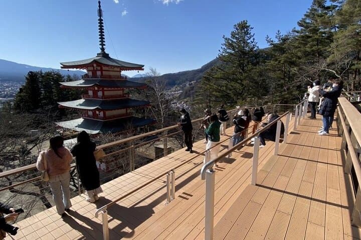 Mount Fuji Panoramic Views, Tea Rituals & Gotemba Outlet Day Trip from Shinjuku photo 6