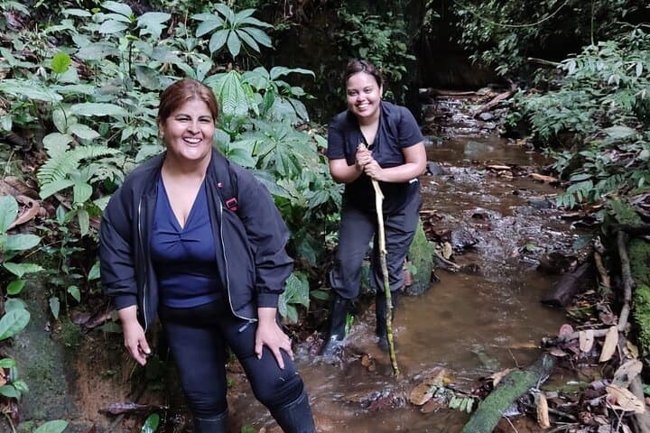 3-Day Amazon Jungle Tour from Cusco — Manu Rainforest, River Boat & Wildlife Lodge photo 6