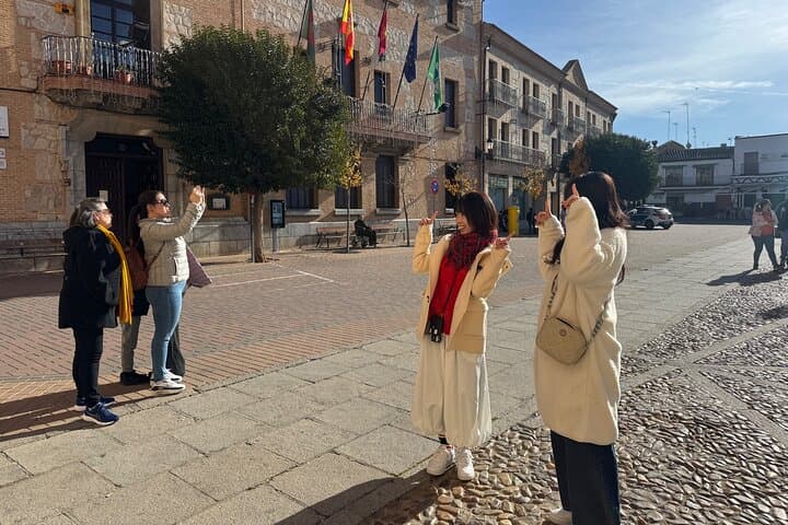 Consuegra Windmills Tour: Rucio Mill & Castillo de la Muela from Madrid photo 3