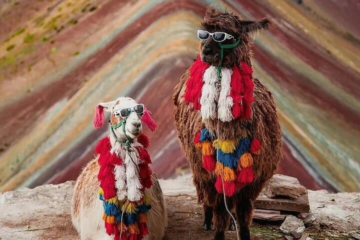Private Rainbow Mountain Trek (Vinicunca) with Buffet Lunch — Day Trip from Cusco photo 3