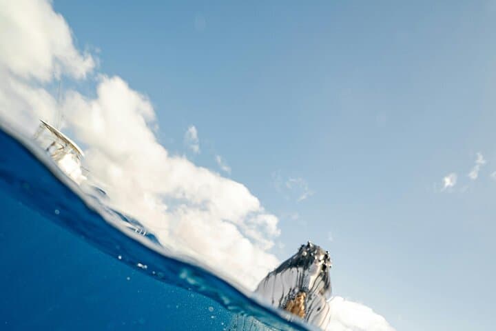 Hermanus Cliff & Boat Whale Watching: Private Guided Walker Bay Experience photo 6