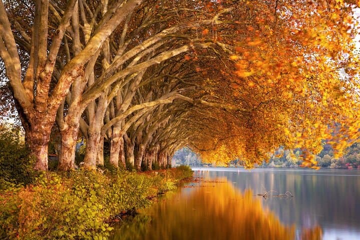 Hudson River Fall Foliage Cruise: Iconic NYC Skyline & Autumn Views photo 3