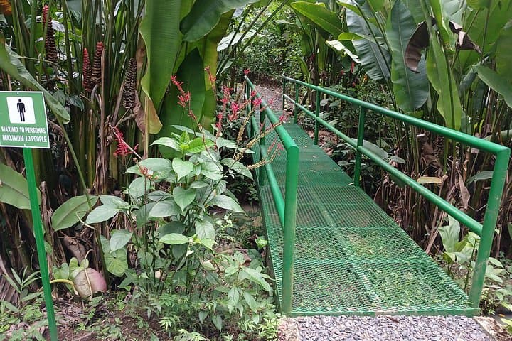 ANURA Eco-Tour with Biologist in La Fortuna — Guided Wildlife & Conservation Walk photo 4